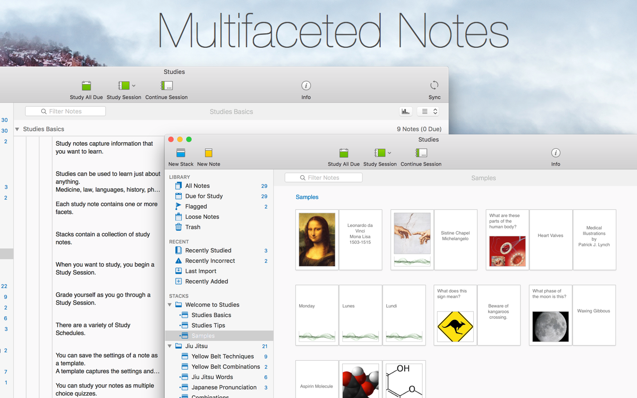 Studies notes editor